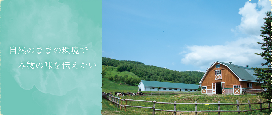 山中牧場は札幌市の南西へ３０キロ、後志管内赤井川村落合の国道３９３号線沿いにあります