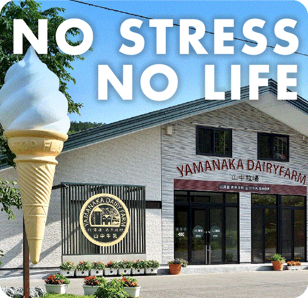 NO STRESS NO LIFE